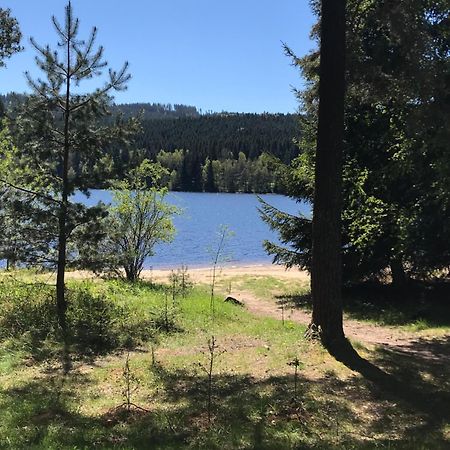 Rodinne Ubytovani Krauskopfovi Lipno nad Vltavou Exteriör bild